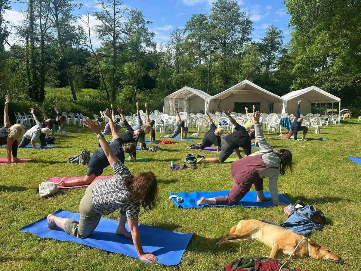 Tangled Roots Festival & Tangled Blues — Radford Mill Farm, Bath